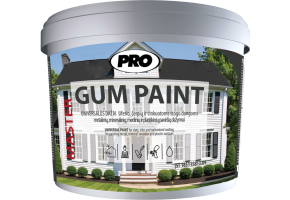 gum-paint-kibiras-1_1778665663-cff7c89af0caa5e6c9b6027a182eba65.png